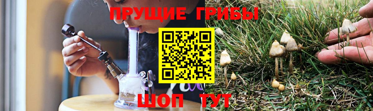 Галлюциногенные грибы мицелий Донской