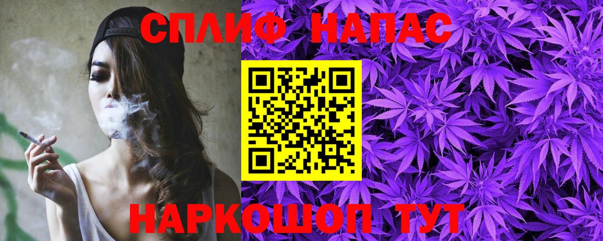 Каннабис сатива Донской